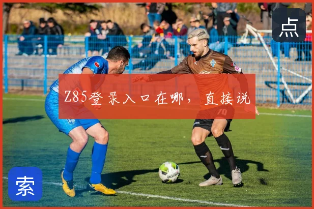 Z85登录入口在哪,直接说
