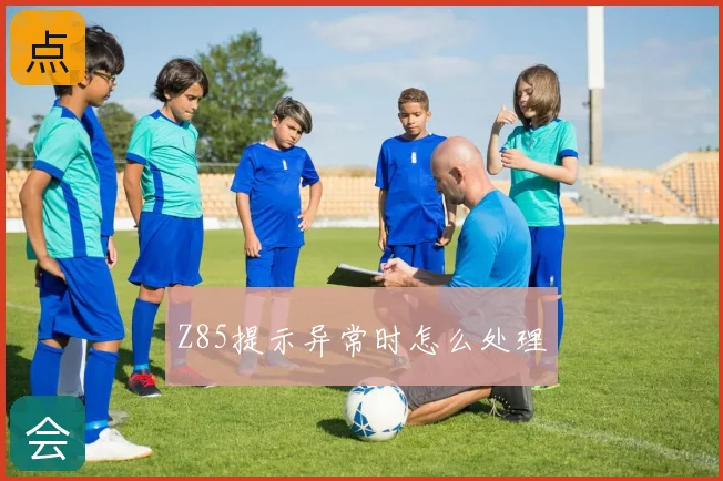 Z85提示异常时怎么处理