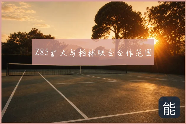 Z85扩大与柏林联合合作范围