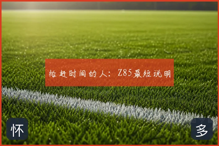 给赶时间的人:Z85最短说明